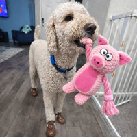 L'indestructible™ — Peluche pour chien