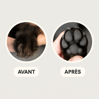 Le Précis™ — Tondeuse Silencieuse pour Pattes & Toilettage