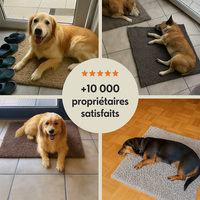 JoliPattes™ — Tapis absorbant