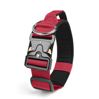 Le Citadin™ — Collier pour chien