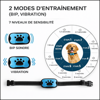 SilenceZen™ — Collier anti-aboiement respectueux pour chien