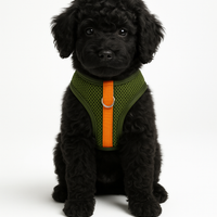 Le Promeneur – Harnais pour chien