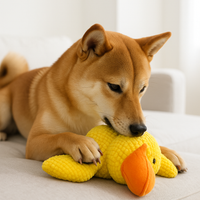 Le Zen™ — Canard Anti-Stress Apaisant