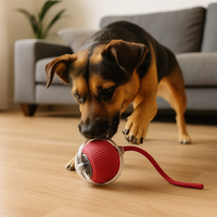 The Ball – Tennis ball for dogs