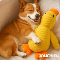 Le Zen™ — Canard Anti-Stress Apaisant