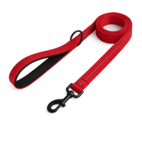 Walking 2.0 – Dog Leash