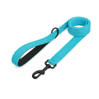 Walking 2.0 – Dog Leash