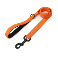 Walking 2.0 – Dog Leash