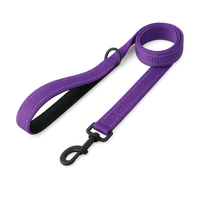 Walking 2.0 – Dog Leash