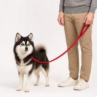 Walking 2.0 – Dog Leash