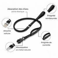 Laisse Amortisseur™ — Anti-À-Coups pour Chien