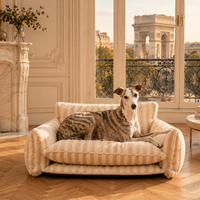 Le Canapé Cocoon™ — Lit/Panier pour chien orthopédique