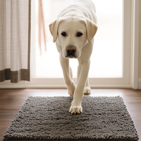 JoliPattes™ — Tapis absorbant