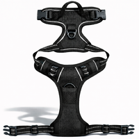 La Maîtrise™ — Harnais anti-traction confortable pour chien
