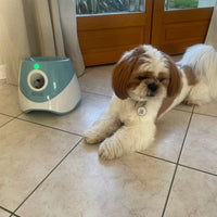 JoliBalle™ – Lanceur de Balle Automatique