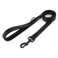 Walking 2.0 – Dog Leash