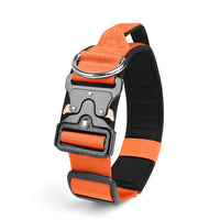 Le Citadin™ — Collier pour chien