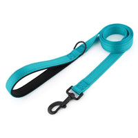 Walking 2.0 – Dog Leash