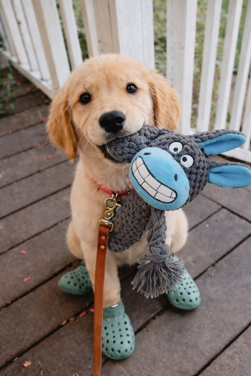 L'indestructible™ — Peluche pour chien