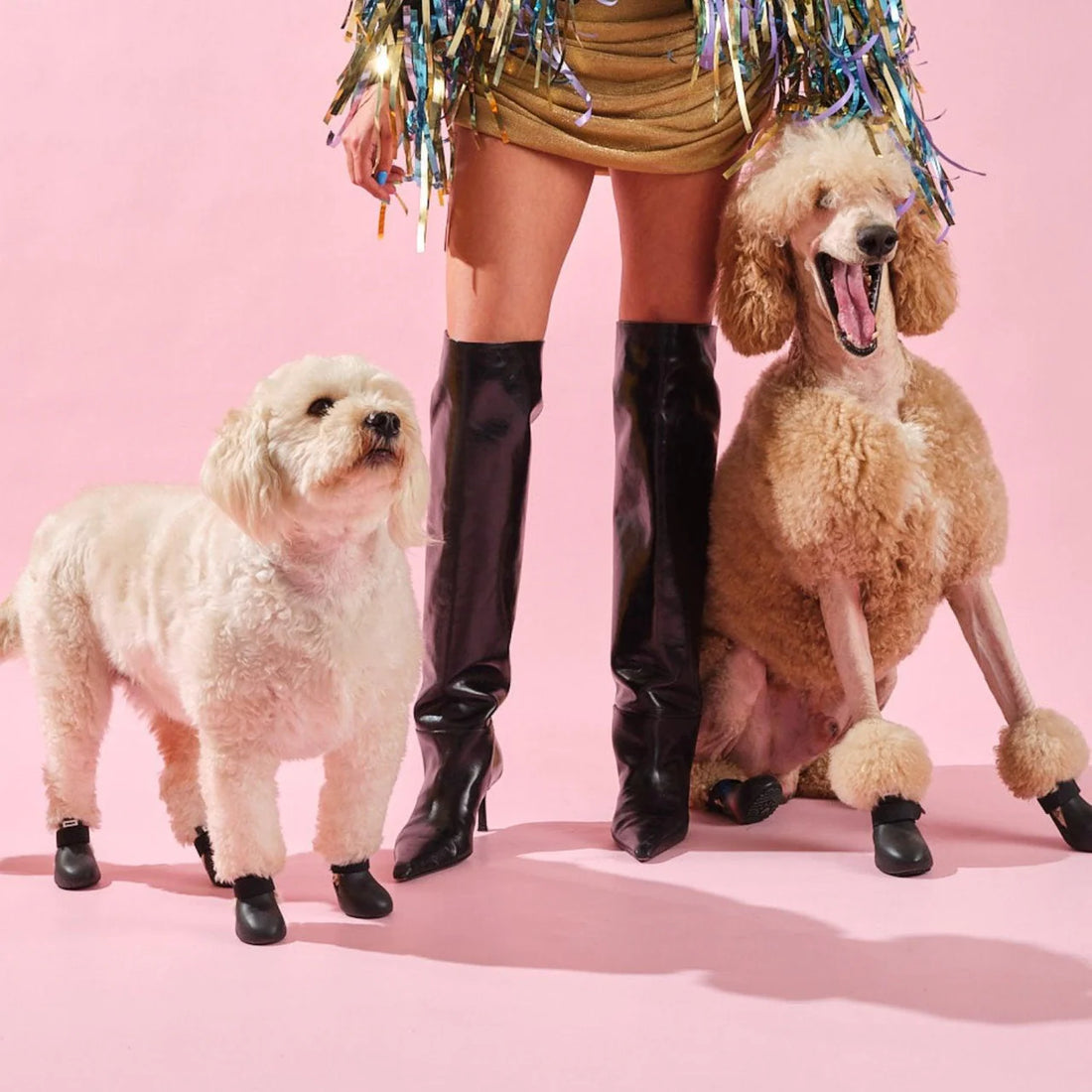 Bottines Renforcées™ pour chien – Antidérapantes hiver | JOLICHIEN®