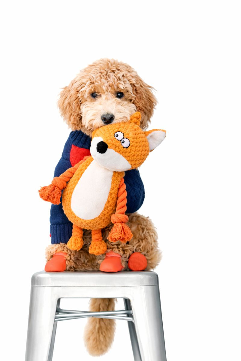 L'indestructible™ — Peluche pour chien