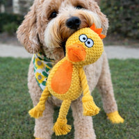 L'indestructible™ — Peluche pour chien