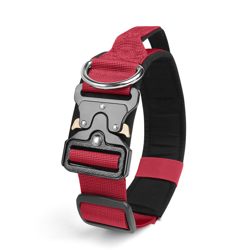 Le Citadin™ — Collier pour chien