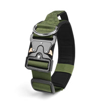 Le Citadin™ — Collier pour chien