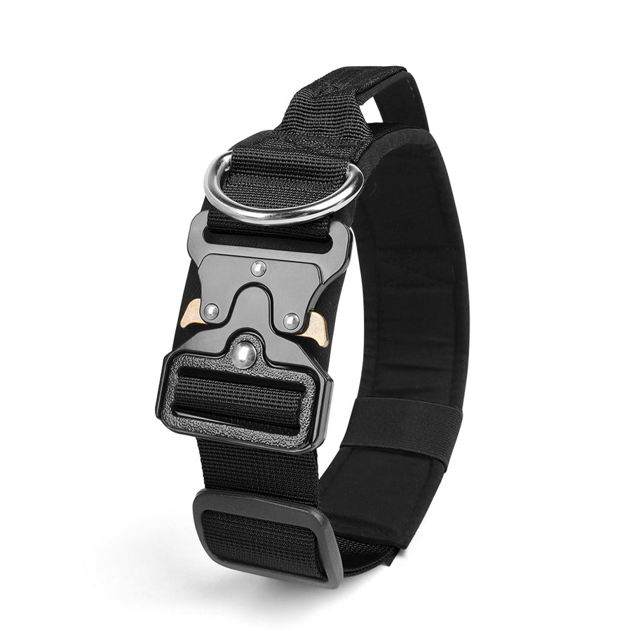 Le Citadin™ — Collier pour chien