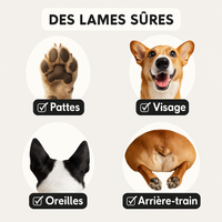 Le Précis™ — Tondeuse Silencieuse pour Pattes & Toilettage