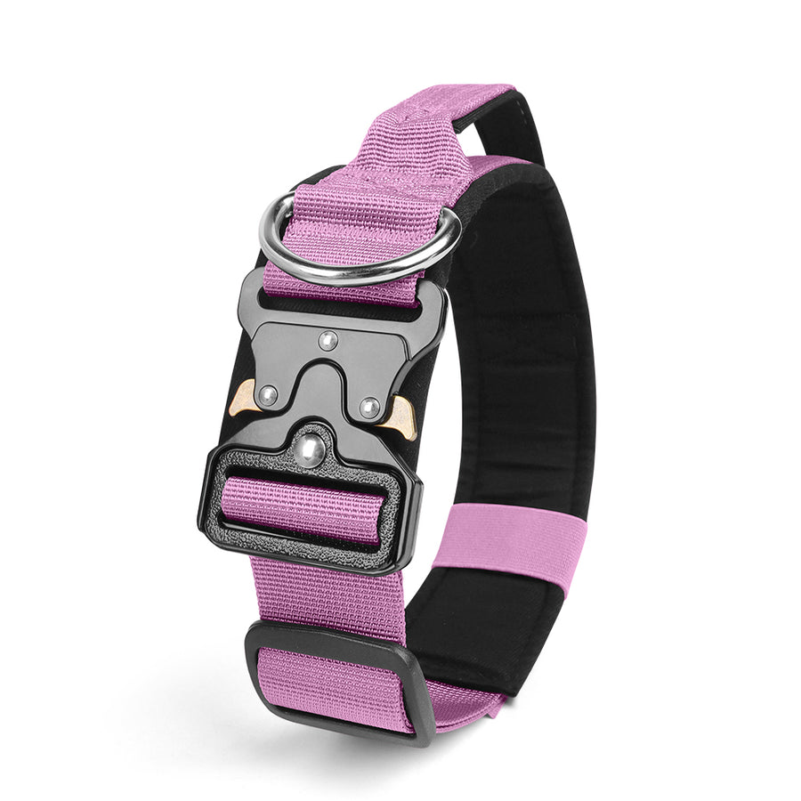 Le Citadin™ — Collier pour chien