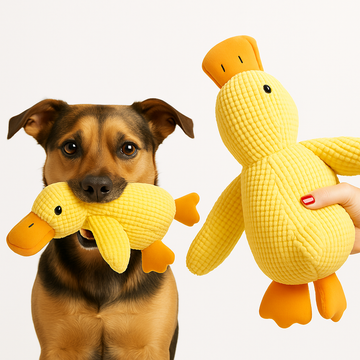 Le Zen™ — Canard Anti-Stress Apaisant