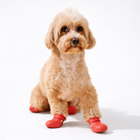Reinforced™ Dog Boots – Non-slip Winter | JOLICHIEN™