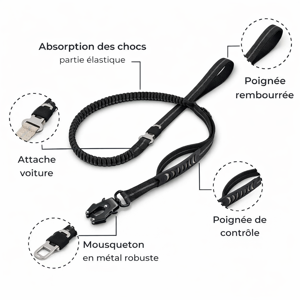 Laisse Amortisseur™ — Anti-À-Coups pour Chien
