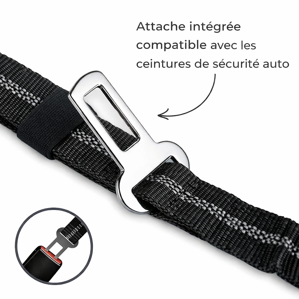 Laisse Amortisseur™ — Anti-À-Coups pour Chien