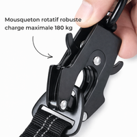 Laisse Amortisseur™ — Anti-À-Coups pour Chien