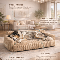 Le Nuage Orthopédique™ — Lit pour chien orthopédique
