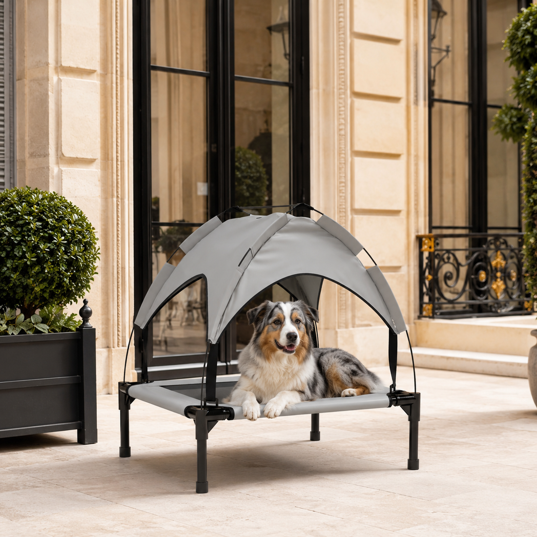 Le Perchoir Fraîcheur™ — Lit surélevé pour chien