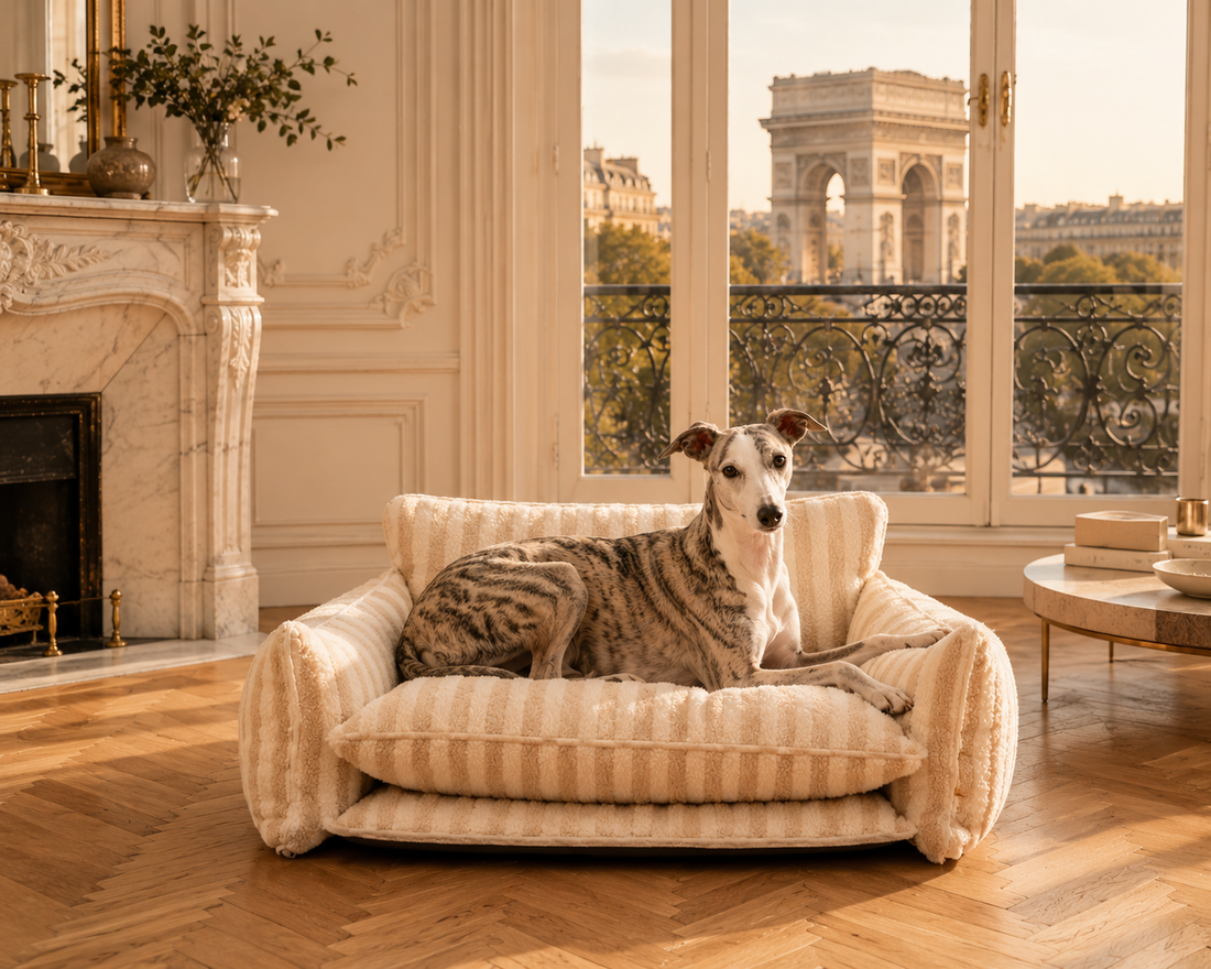Le Canapé Cocoon™ — Lit/Panier pour chien orthopédique