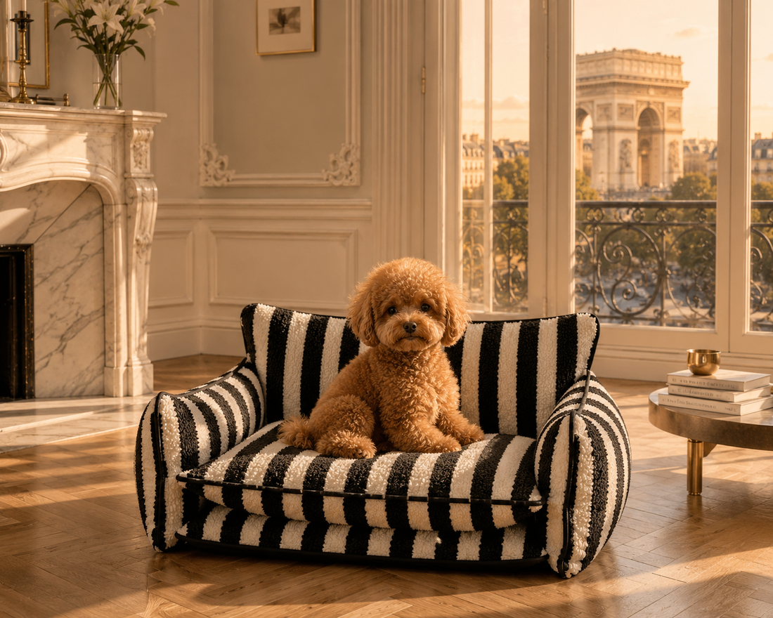 Le Canapé Cocoon™ — Lit/Panier pour chien orthopédique