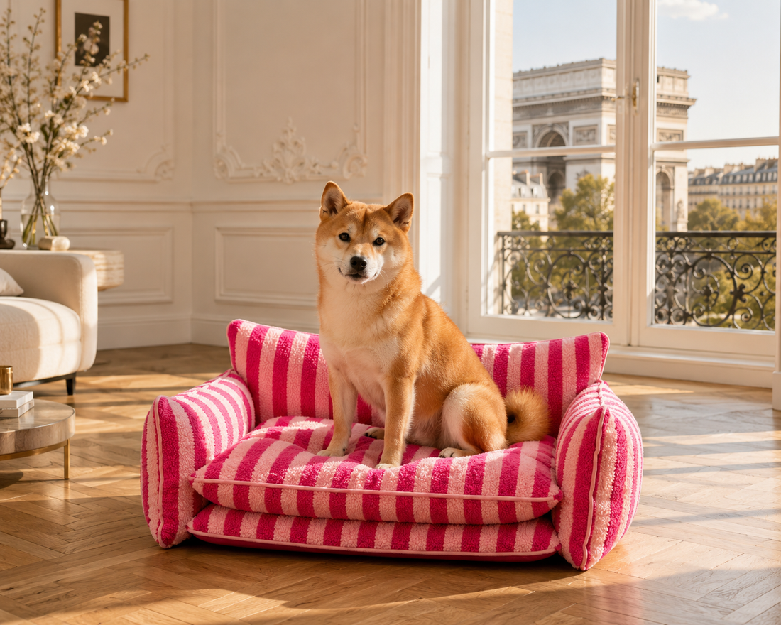 Le Canapé Cocoon™ — Lit/Panier pour chien orthopédique