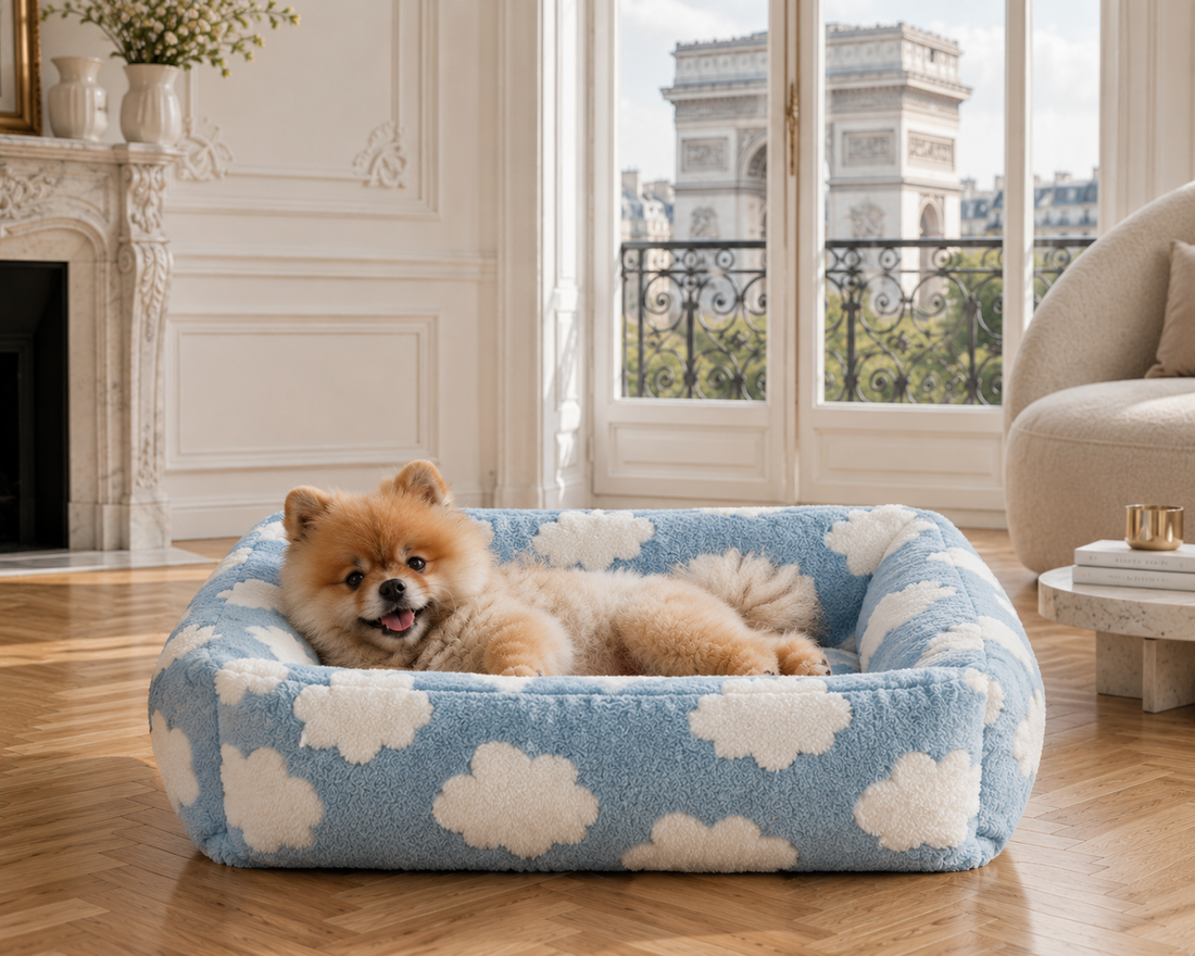 Le Douillet™ — Lit/Panier pour chien orthopédique