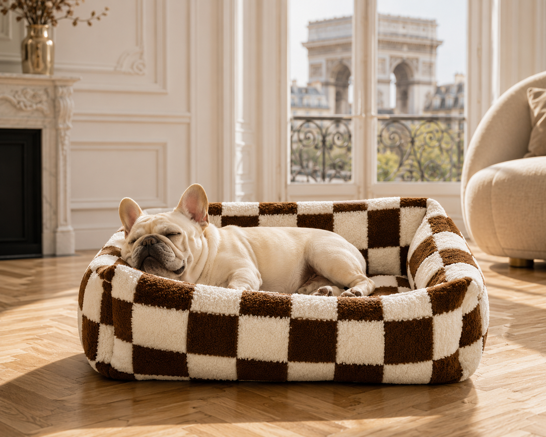 Le Douillet™ — Lit/Panier pour chien orthopédique