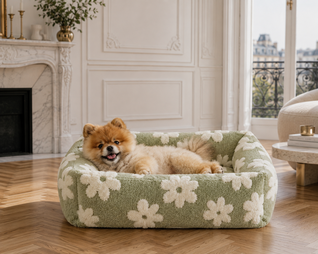 Le Douillet™ — Lit/Panier pour chien orthopédique