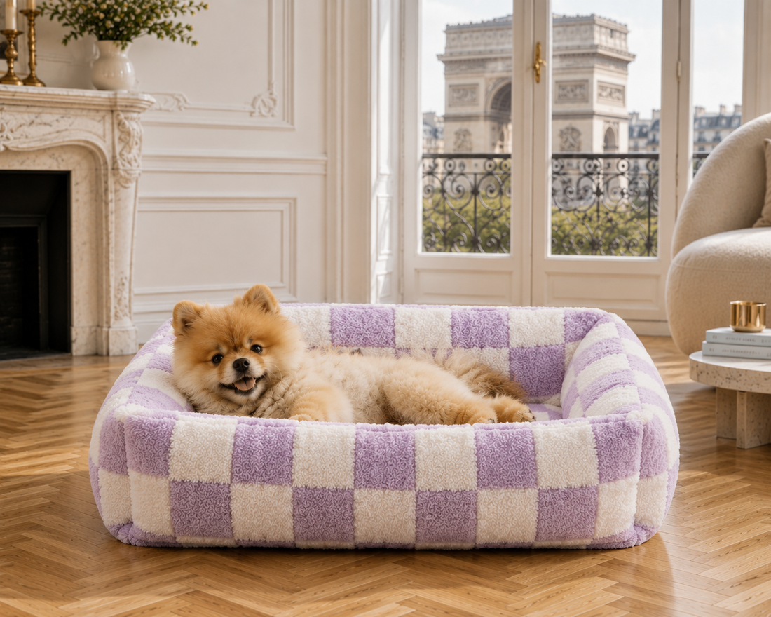 Le Douillet™ — Lit/Panier pour chien orthopédique