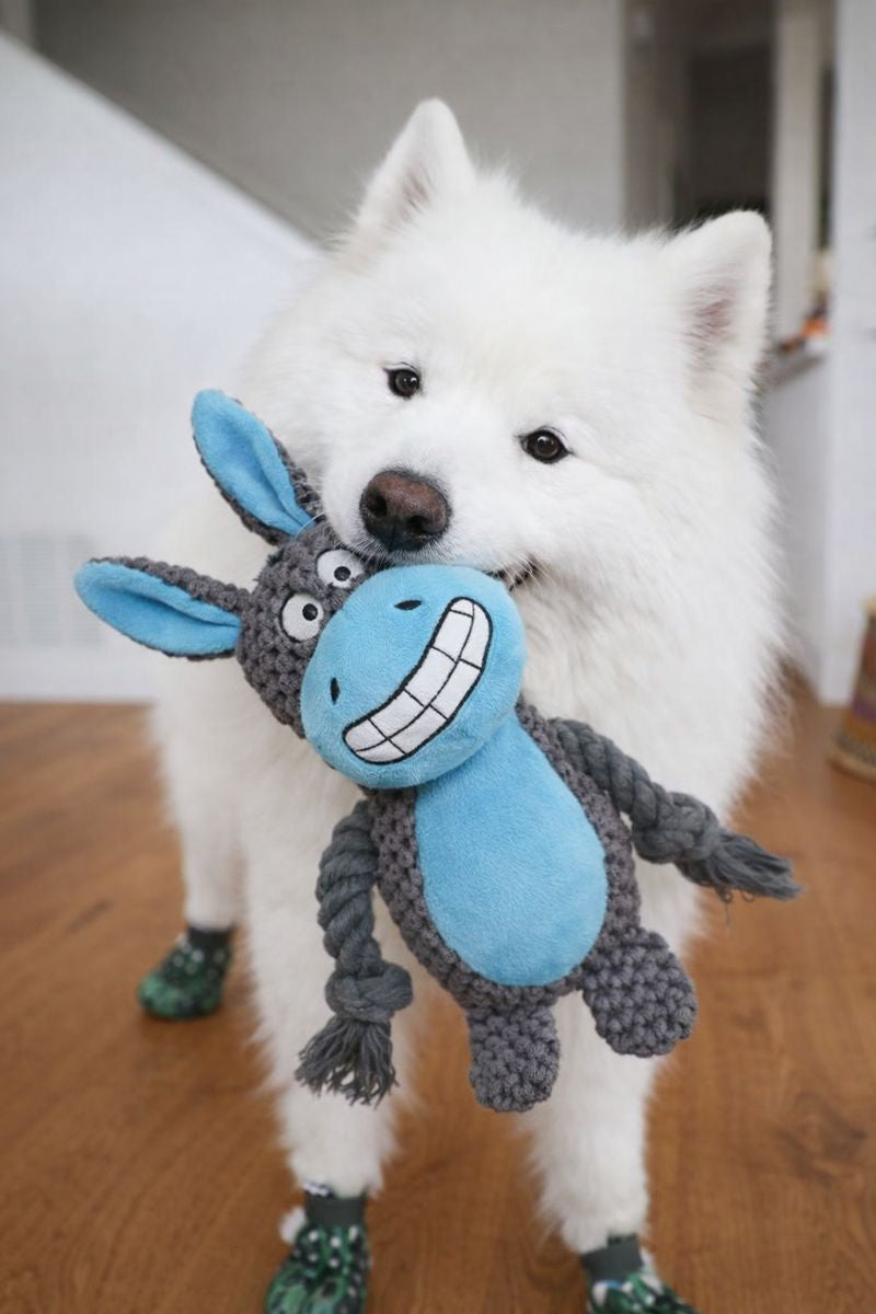 L'indestructible™ — Peluche pour chien