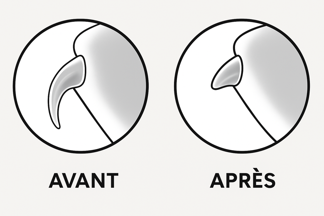 PattesDouces™ — Lime à ongles électrique