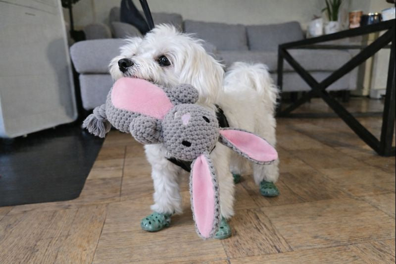 L'indestructible™ — Peluche pour chien