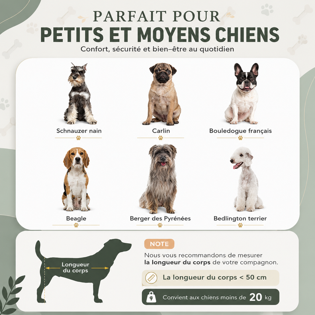 Le Perchoir Fraîcheur™ — Lit surélevé pour chien