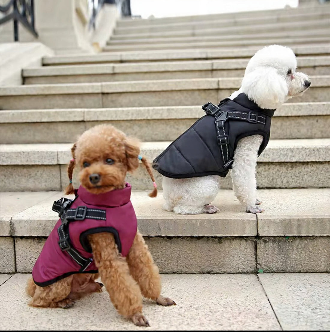 Le Woof Woof™ — Manteau Harnais Imperméable